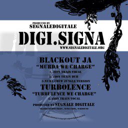 12inch Digi.Signa 020