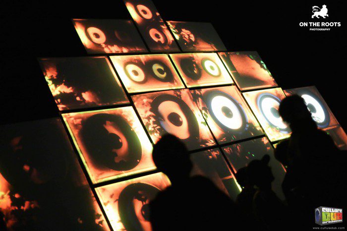 Visual System