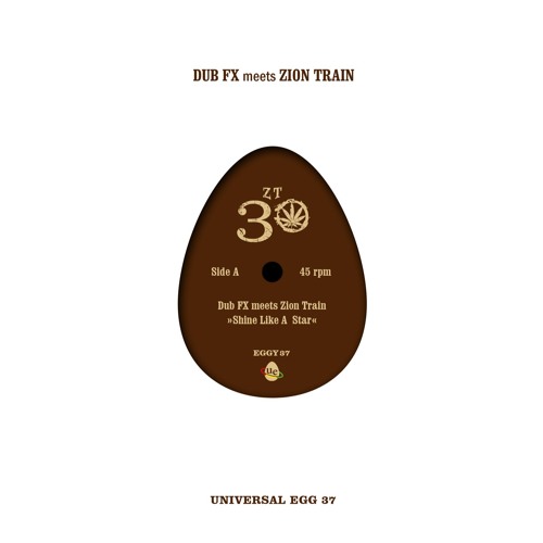 Dub FX meets Zion Train