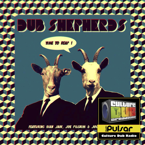 Dub Shepherds - Interview