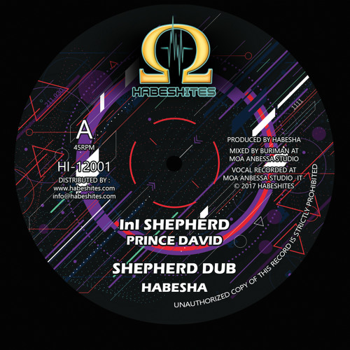 Prince David - InI Shepherd