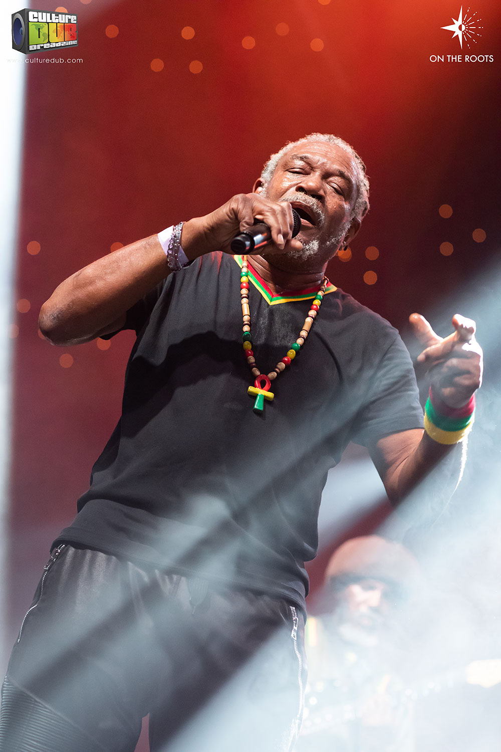 Horace Andy