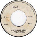Watergate Rock