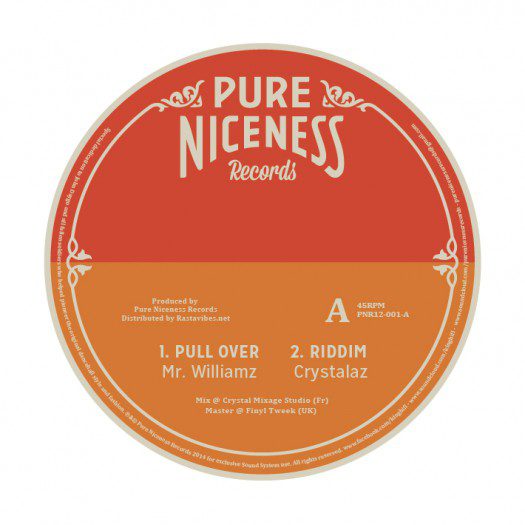 Mr Williamz - Pull Over (12" Pure Niceness Records)