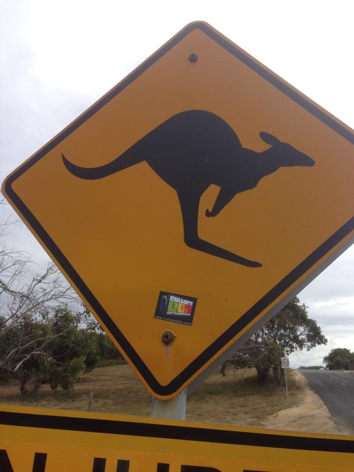 Australia (2014) - Fred