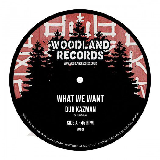 Dub Kazman - What We Want