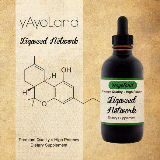 Yayoland - Liqweed Network