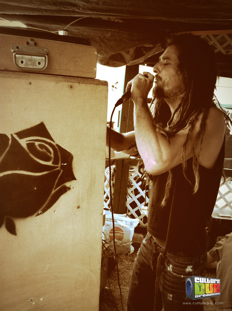 dub-fest-2013-05