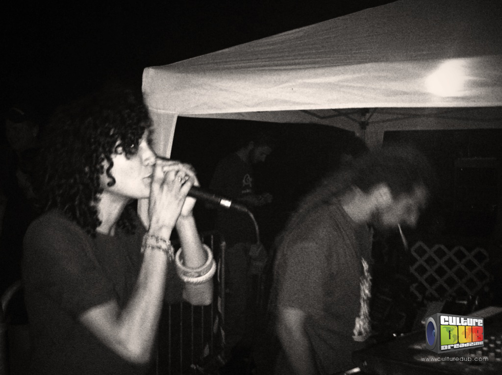 dub-fest-2013-07