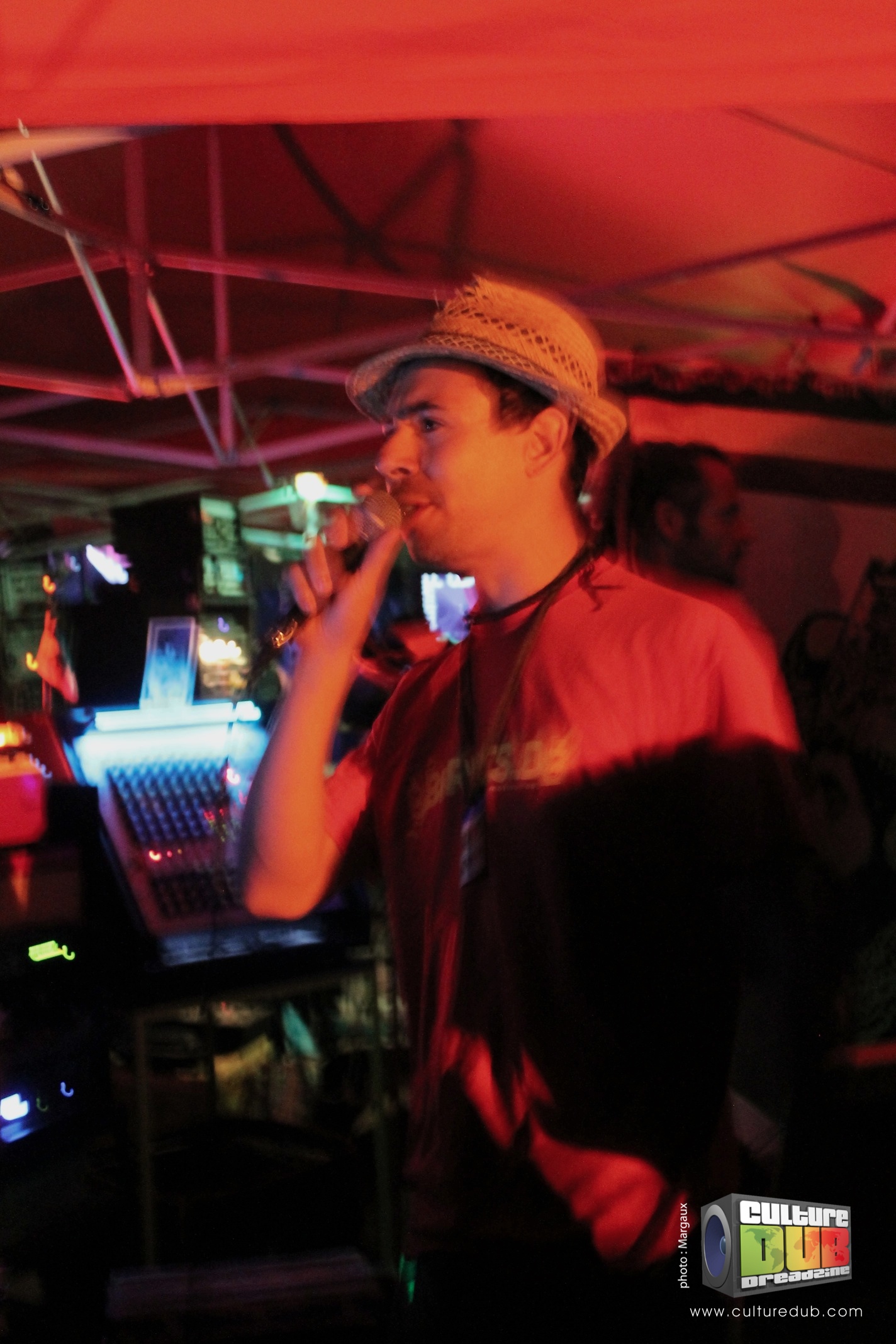 dub-fest-2013-16