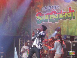 Beenie Man