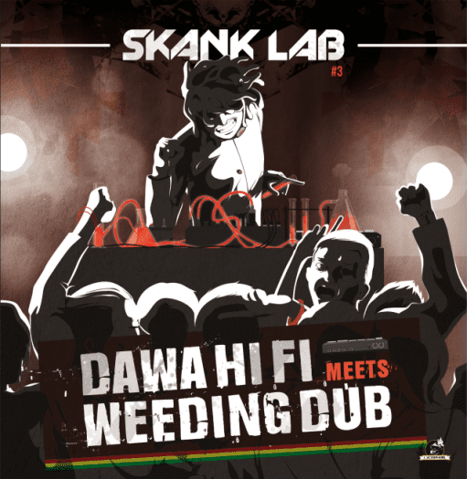 Skank Lab #3
