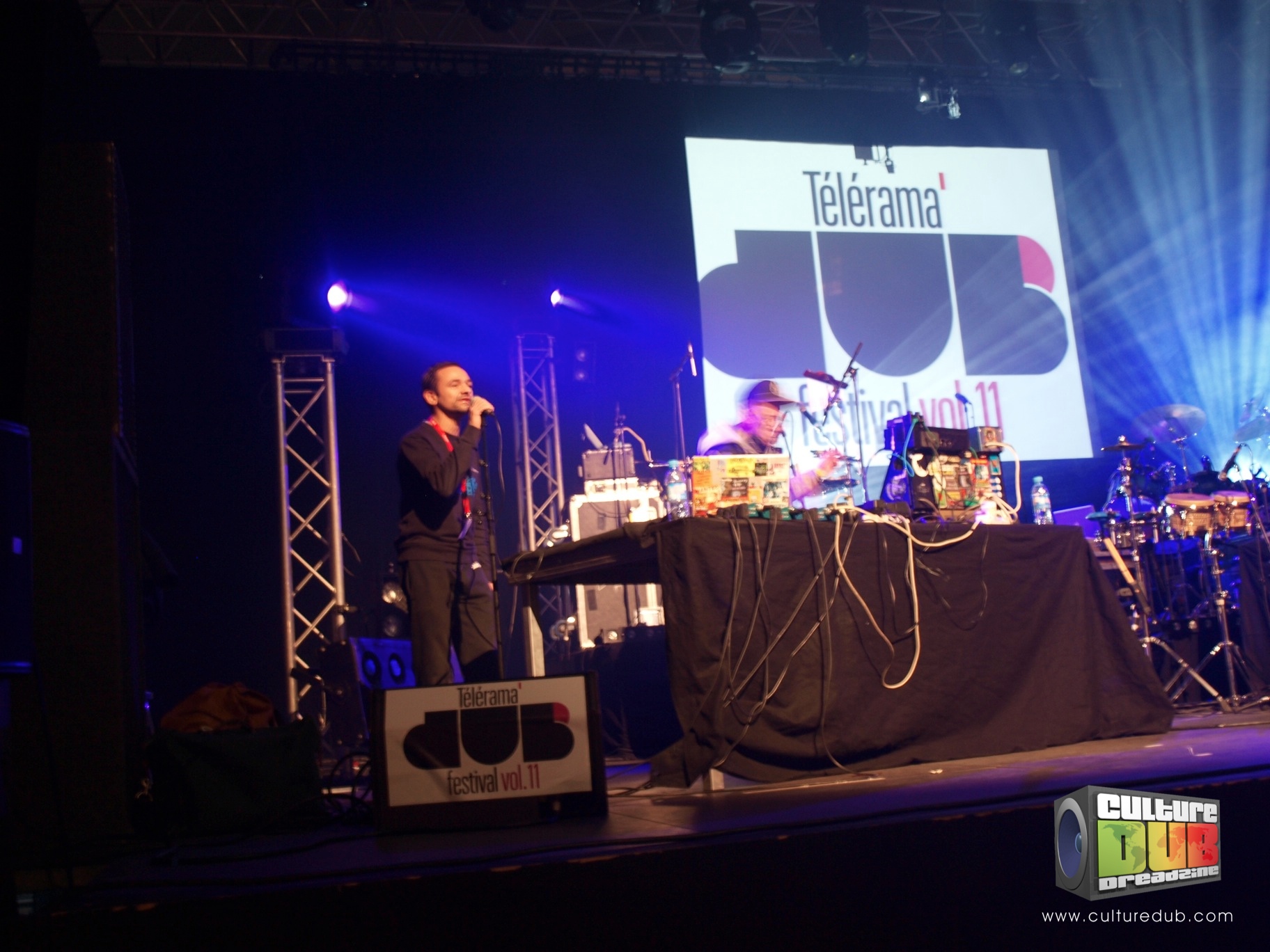 telerama-dub-festival-2013-13