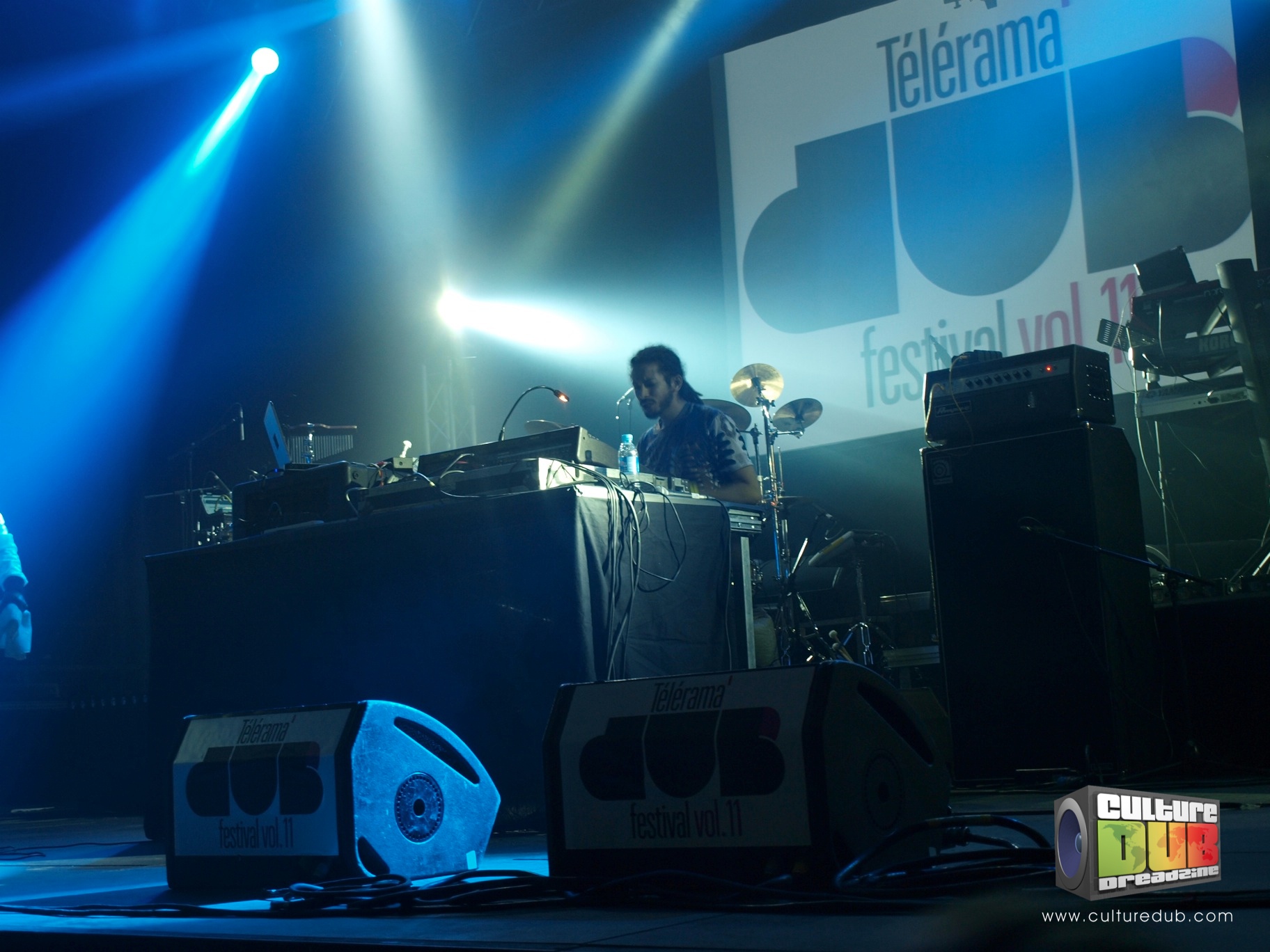 telerama-dub-festival-2013-31